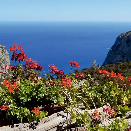 Daire Casa Cala Luna